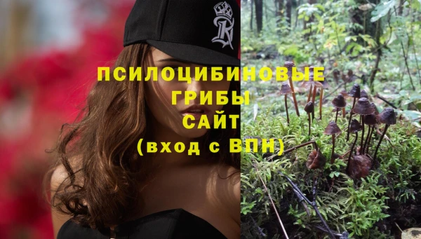 меф Инта