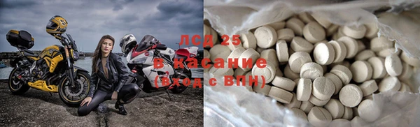 тгк Инсар