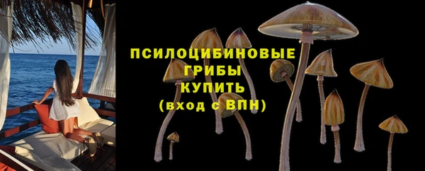 меф Инта