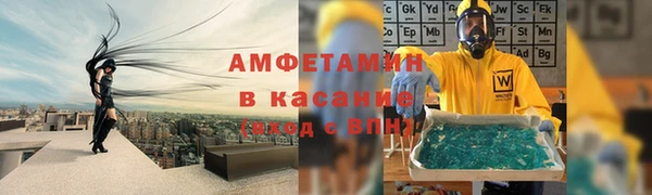 крисы Каменка