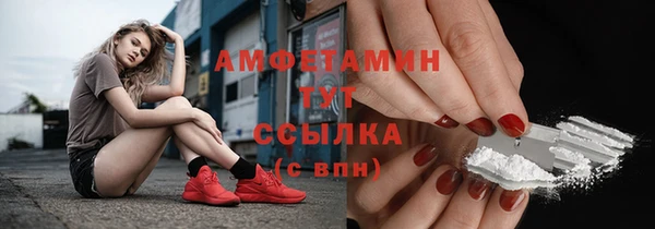 тгк Инсар