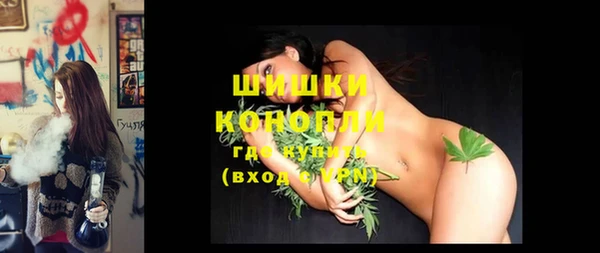крисы Каменка
