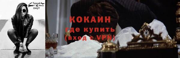 крисы Каменка