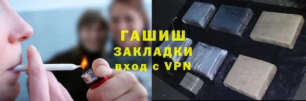 тгк Инсар
