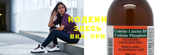 крисы Каменка