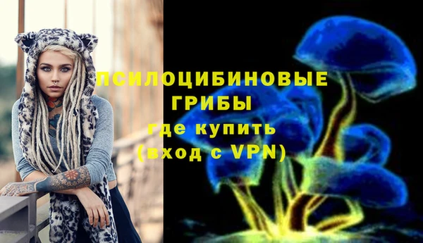 крисы Каменка