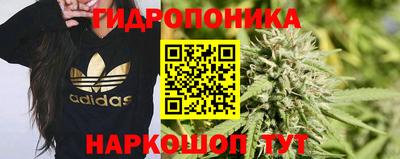 PSILOCYBIN Тара