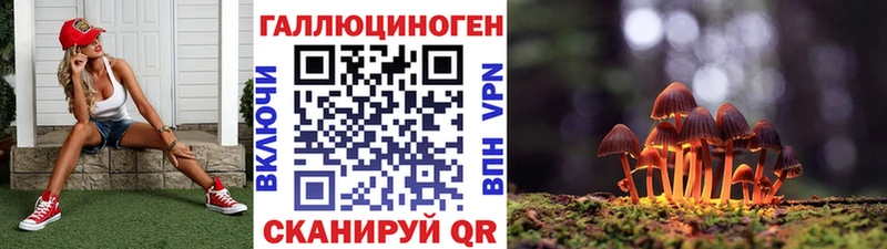 Псилоцибиновые грибы GOLDEN TEACHER Мончегорск