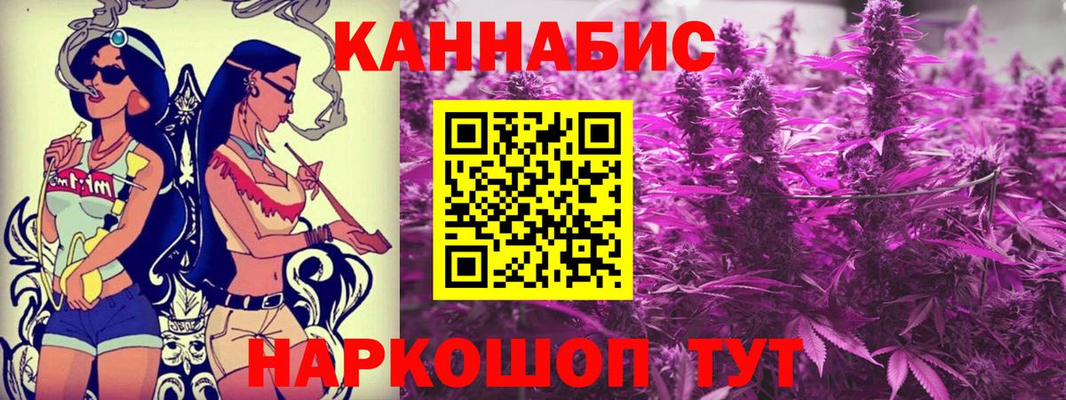 Каннабис сатива Мончегорск